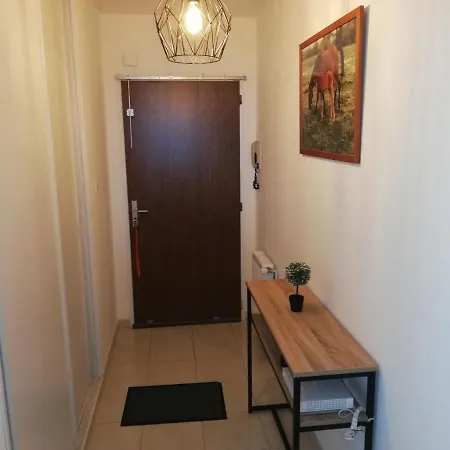 Apartment L'Hippocampe T2 By Interhome Apartmán *