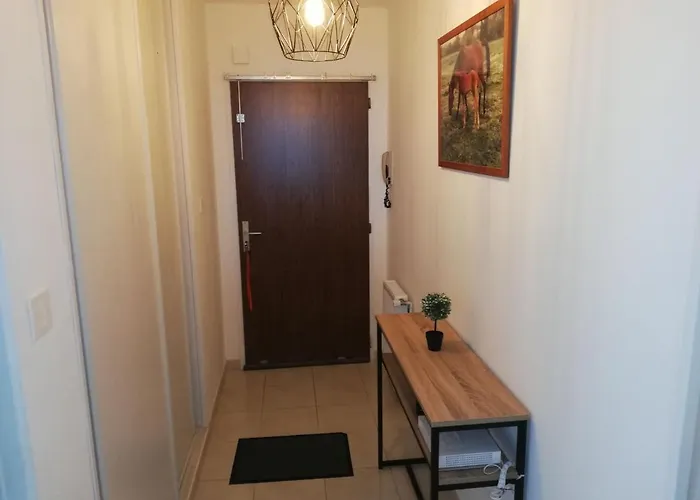 L'hippocampe T2 Balcon By Interhome Apartment *